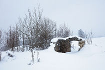 SumavaCervenaUnor2026 - 074